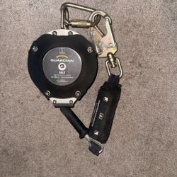 Guardian Halo Class 2