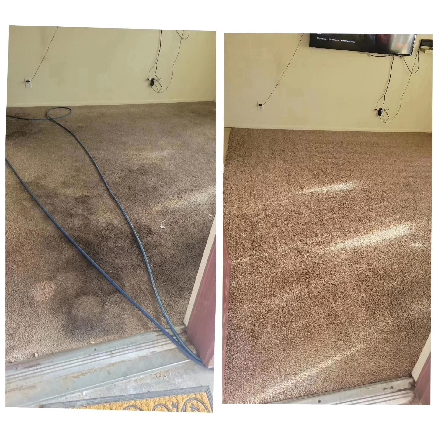 ××××××STEAM ××××××CARPET ×××××CLEANING