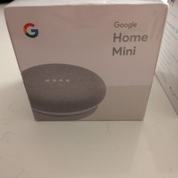 GOOGLE HOME MINI GRAY!