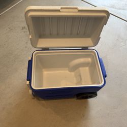 Coleman Cooler