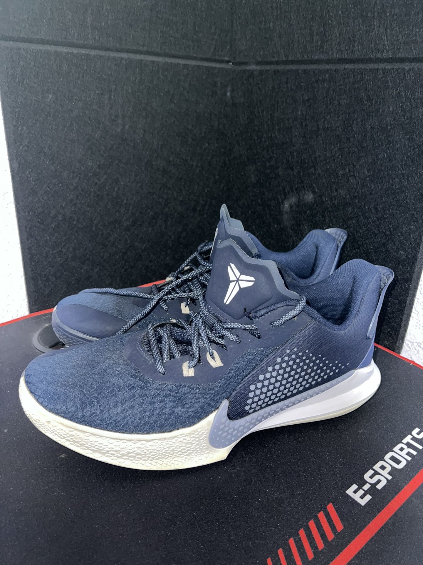 Kobe Mamba Fury