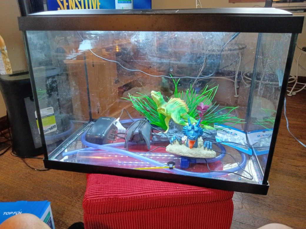 Fish Tank 