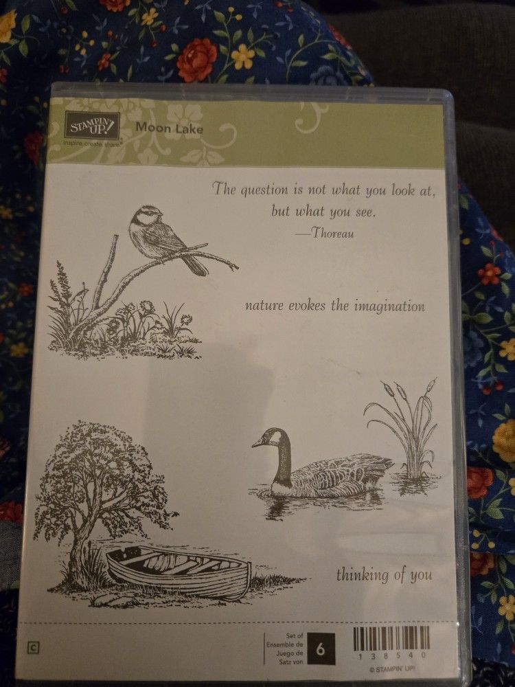Stampin Up  Moon Lake