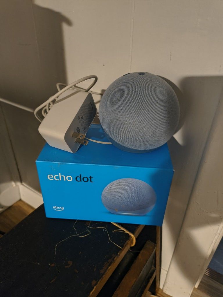 Alexa Echo