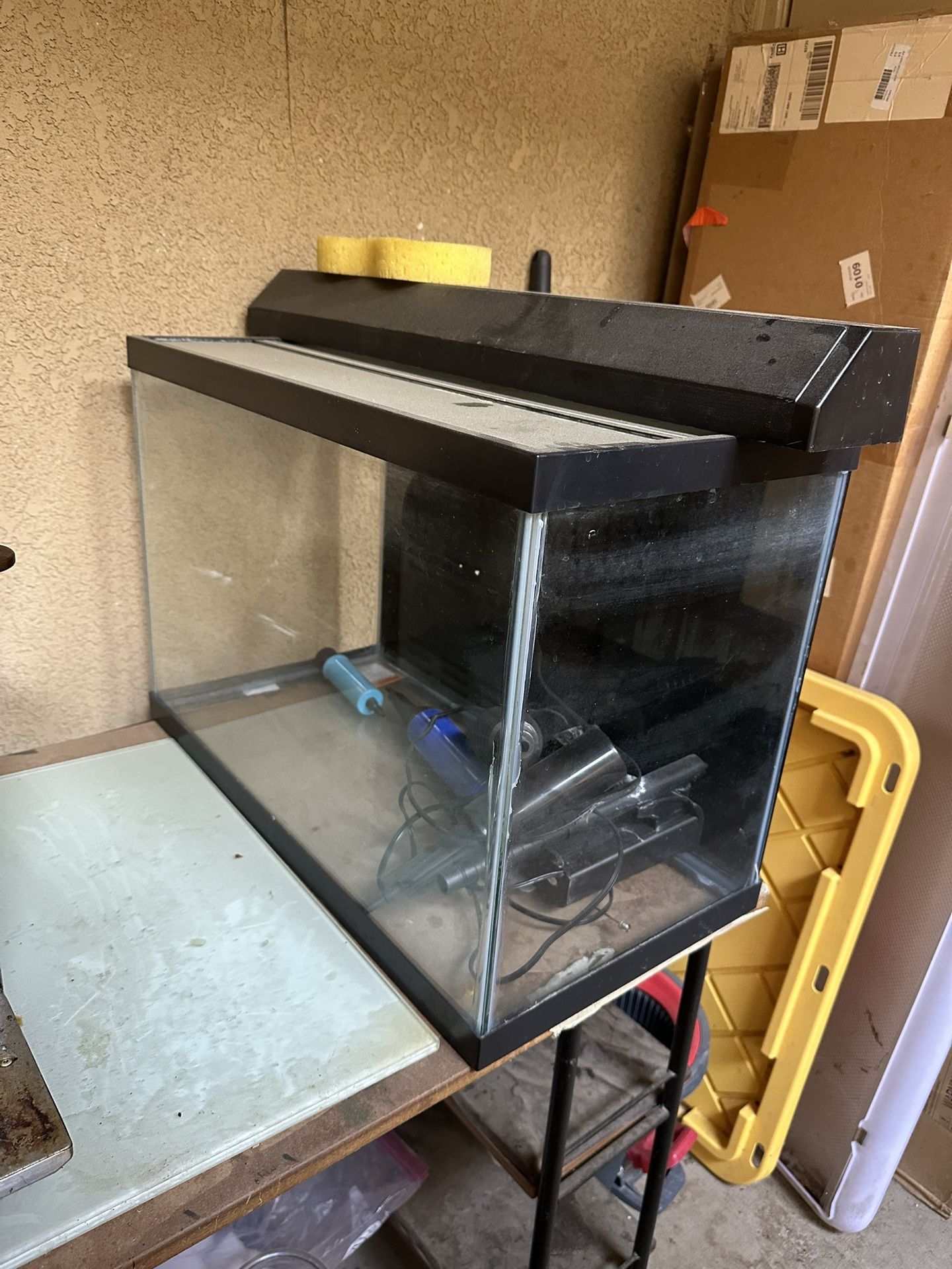 Fish Tanks