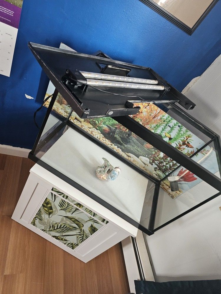 20 Gallon 1 Month Used Aquarium