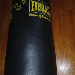 EVERLAST BOXING 40 POUND B
