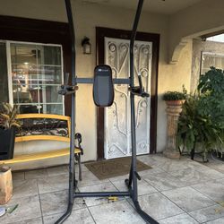 Elite Fitness Power Tower for Pull Ups, Chin Ups & Dips,