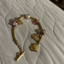 Pandora Charm Bracelet