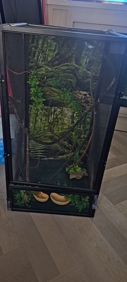 Tall Reptile Terrarium with Decor