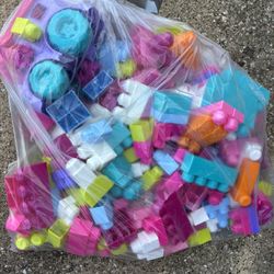 Toddler Building Blocks