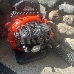 Echo Backpack Blower 