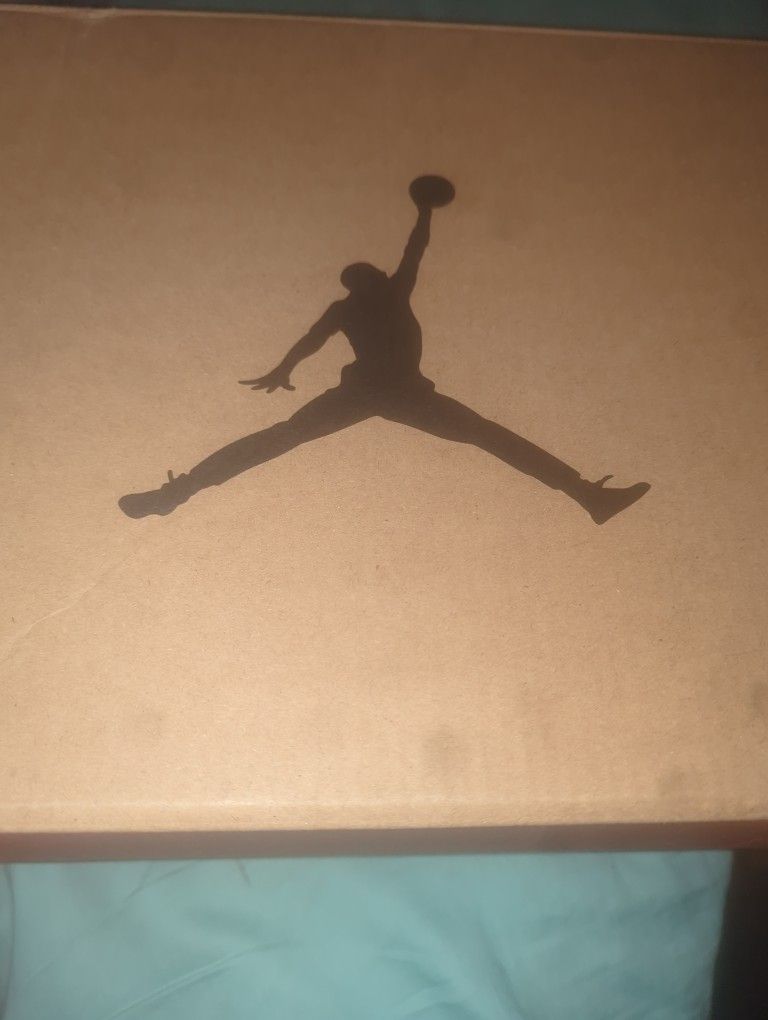 NIKE Air Jordan 12 Retro