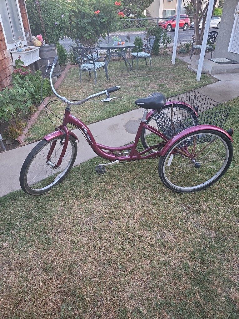 Meridian Adult Tricycle