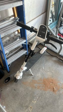 Bird Scooter