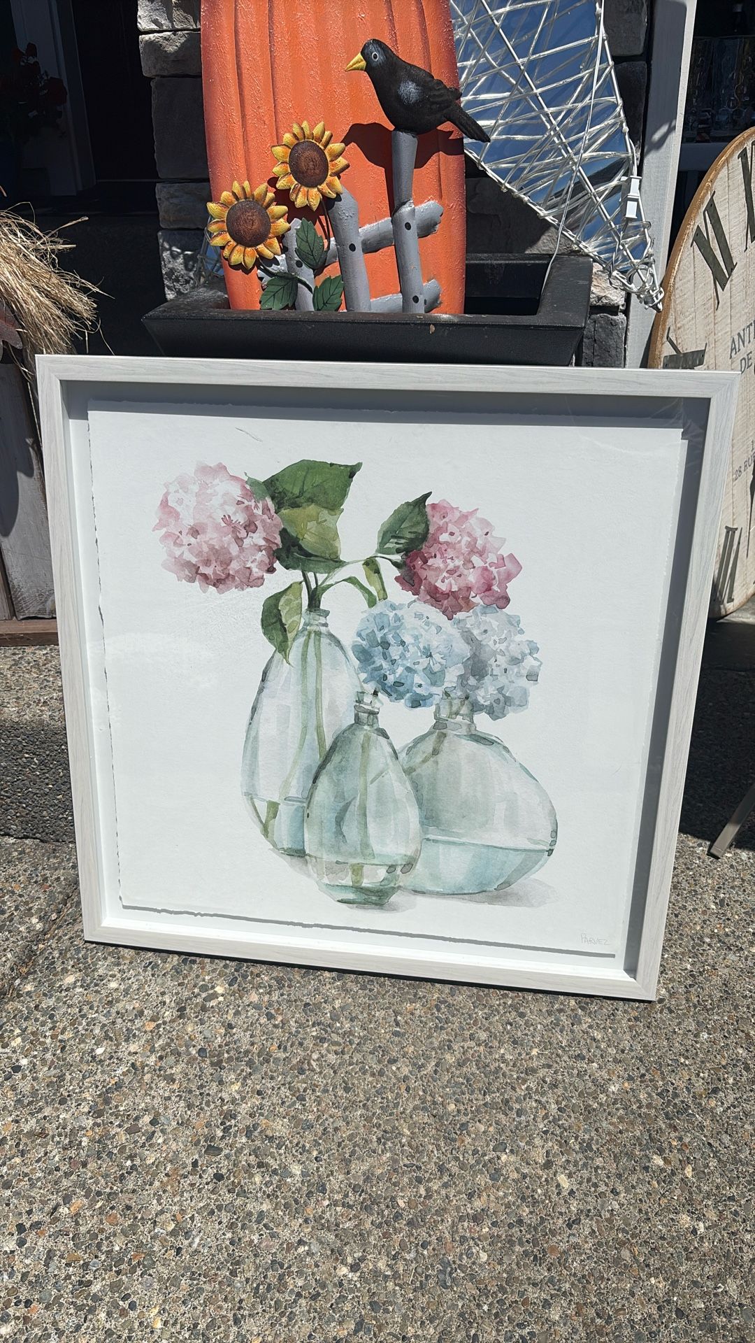 Hydrangea picture