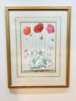 Vintage Botanical Florilegium Johann Jakob Walther Framed Art from the Victoria & Albert Museum The Quintessa Art Collection