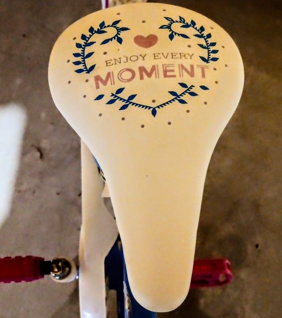 GIRL'S BIKE - LAST DAY SALE