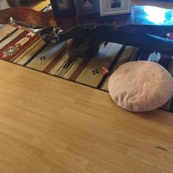Western Coffee Table 