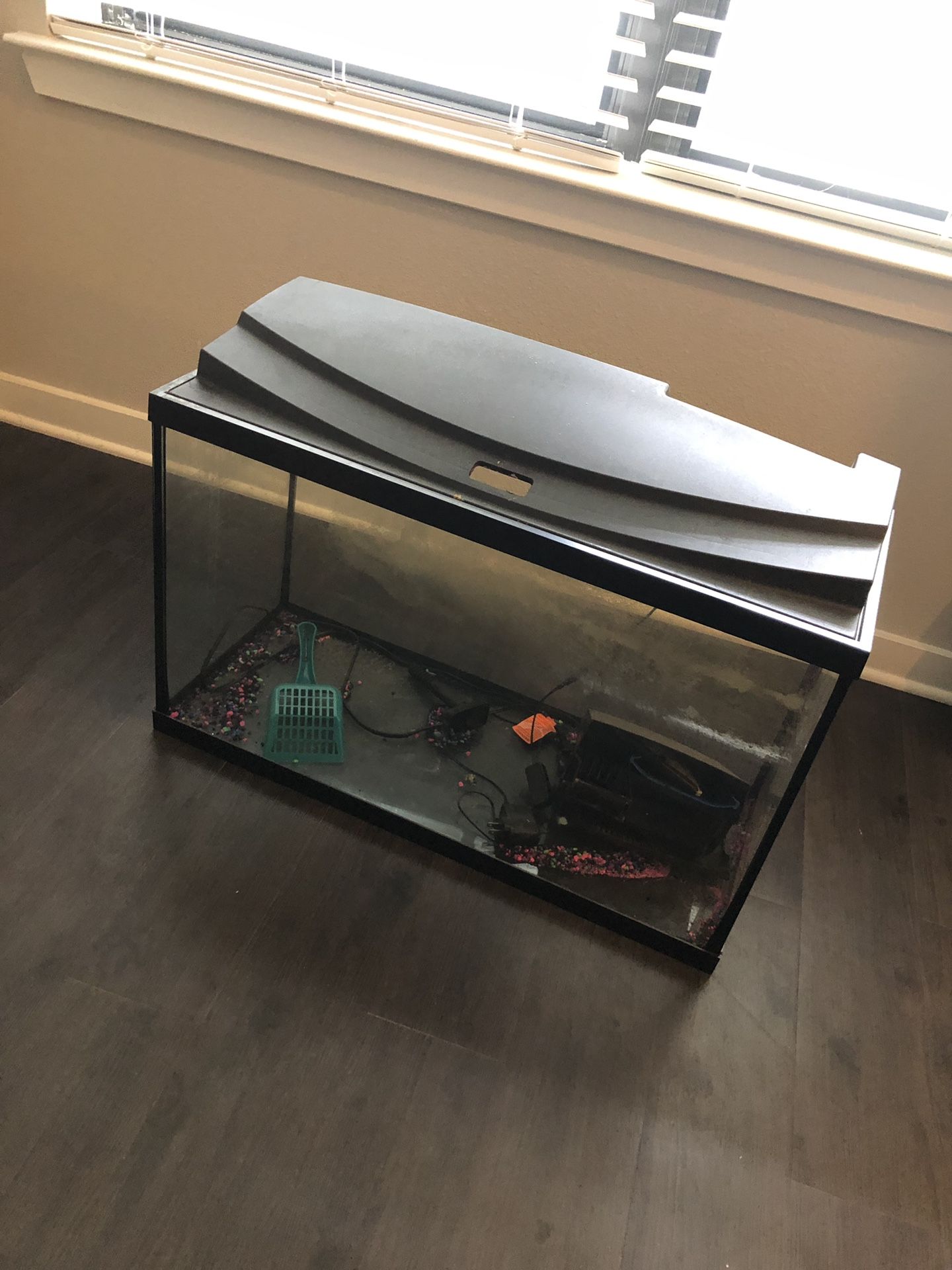 20 gallon fish tank