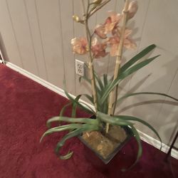 Home Decor all/200.00