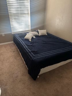 Box spring & mattress