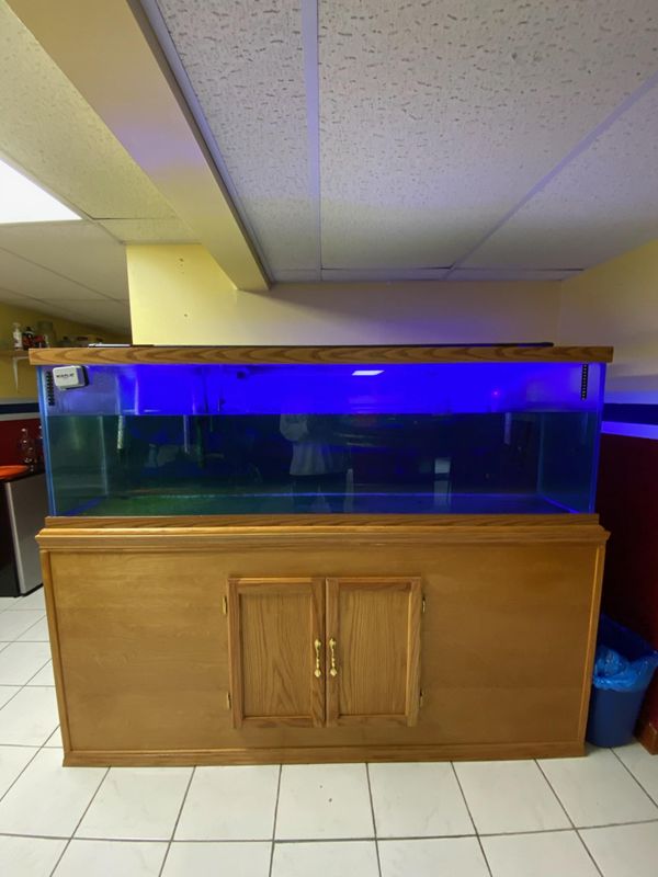 120+ gallon Fish tank oak stand 750 o b o for Sale in HOFFMAN EST, IL