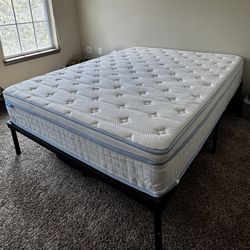 Wayfair 12” Spring Medium Pocketed Hybrid Mattress And Mattress Protector 