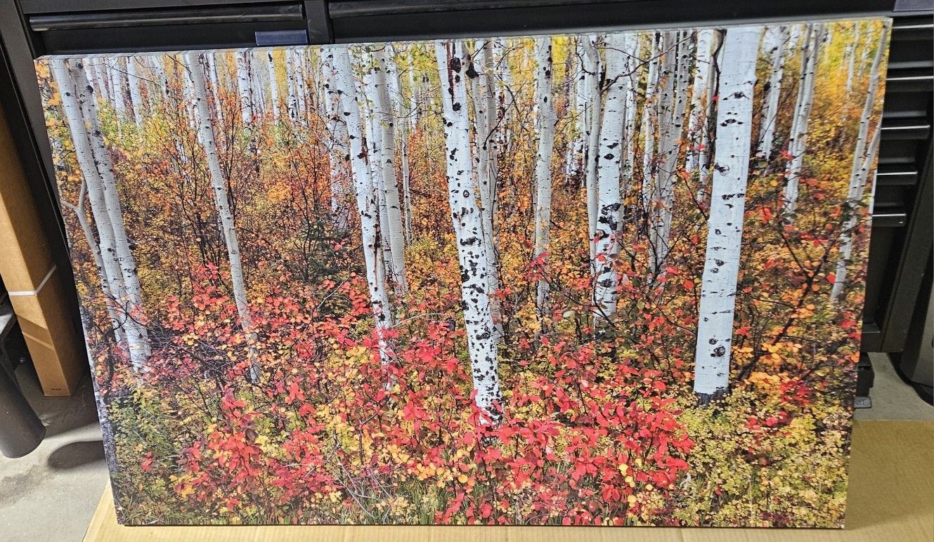 Canvas Art 