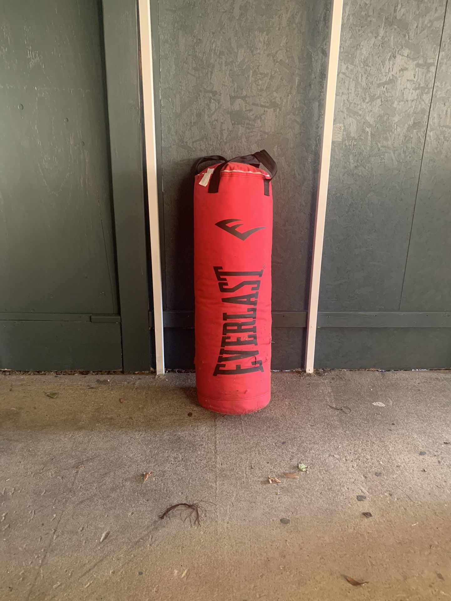 Everlast Punching Bag