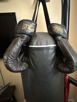 Punching Bag