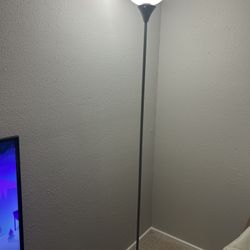 💡 FLOOR LAMP – $10