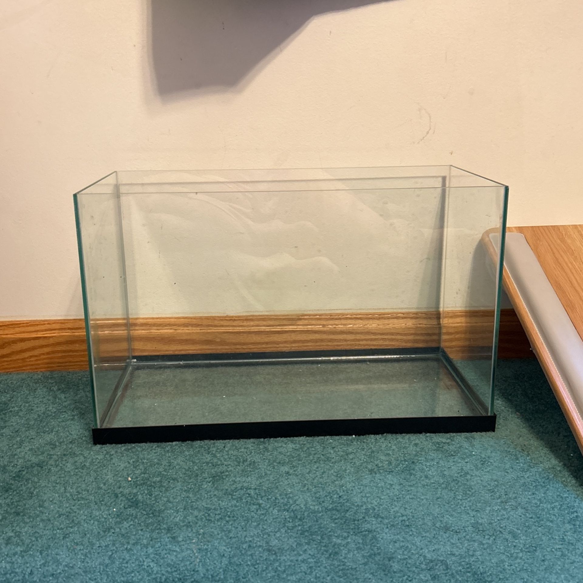 10g Tank
