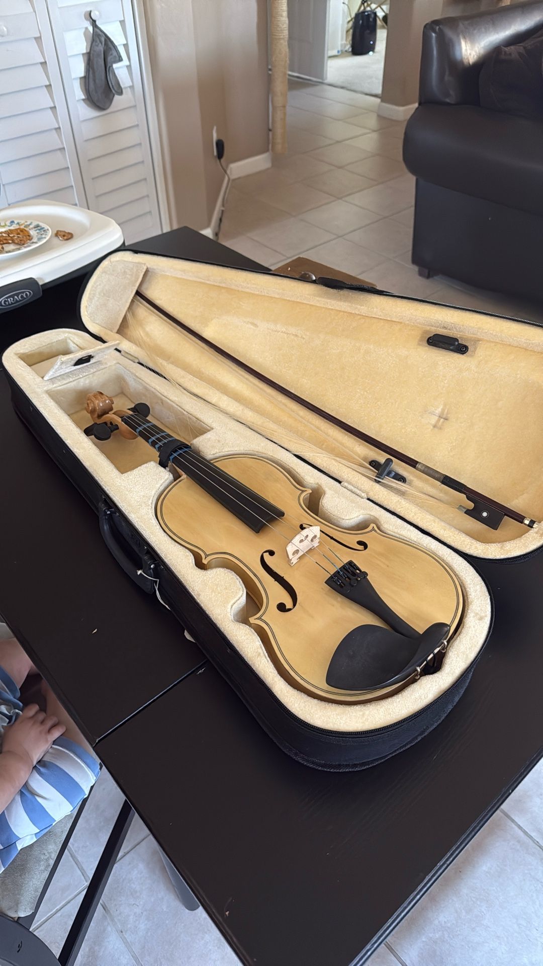 Violin