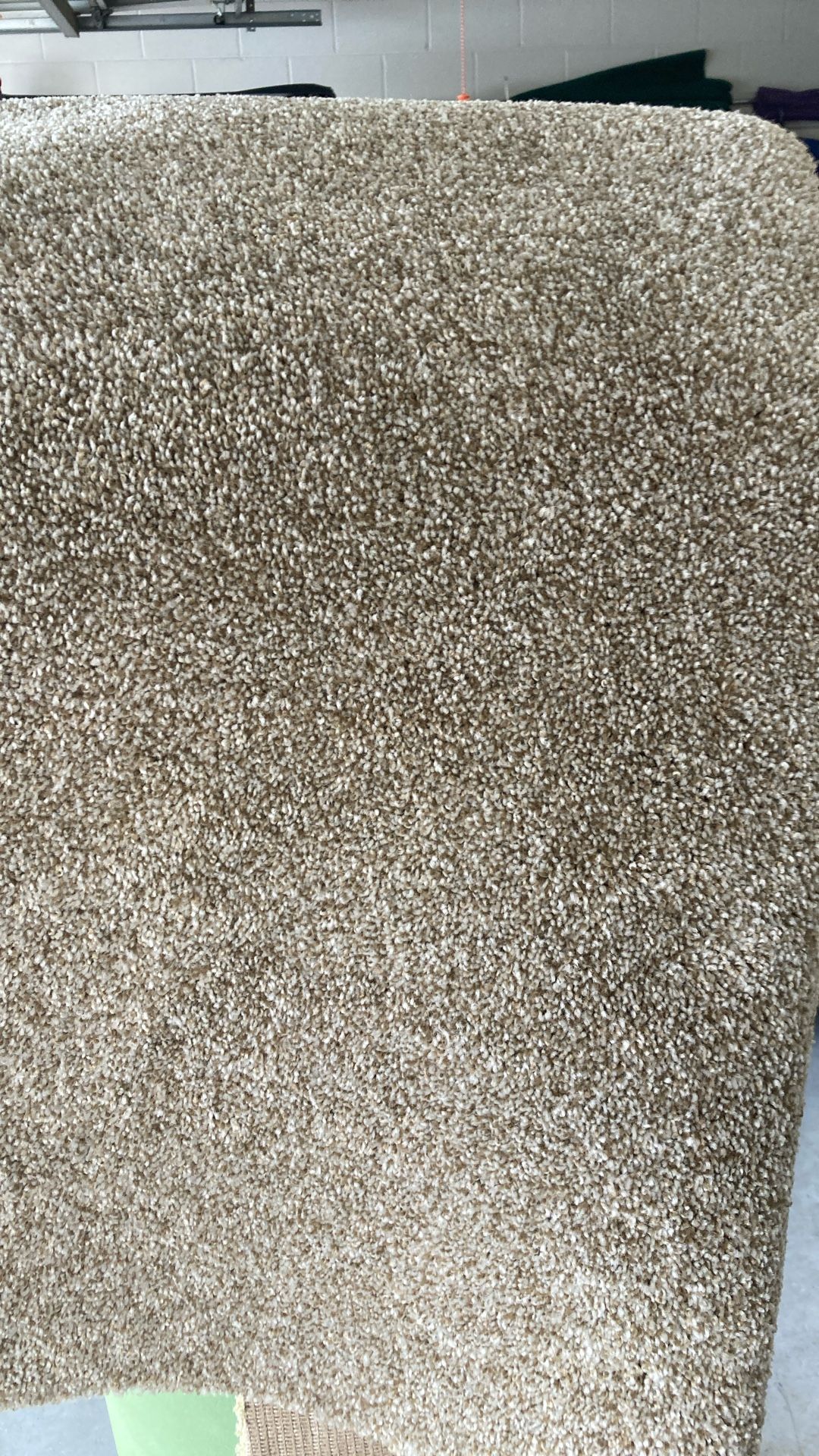 Beige Carpet With Pad