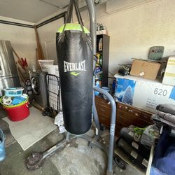 Everlast Everstrike Punching Bag w/ Gloves
