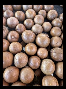 8 lbs New Crop August 2026 Organic California Macadamia Nuts Raw in Shell