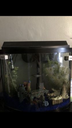 50 Gallon Fish tank