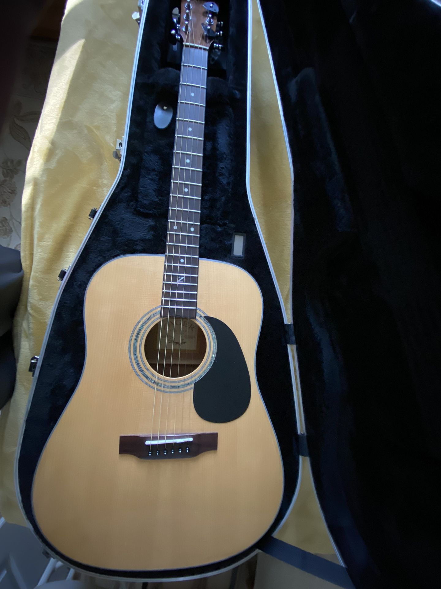 Zager Electric Acoustic Guitar 