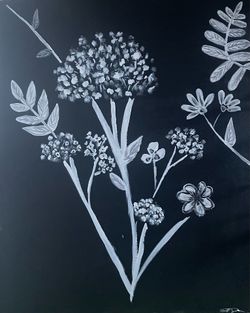 Black and White Botanical Painting