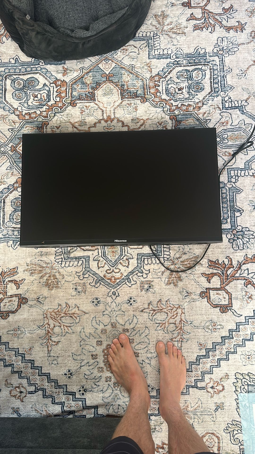 Hisense Moniter