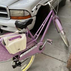 Purple Beach Cruiser