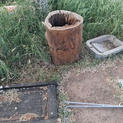 Tree Stump Hollowed Out