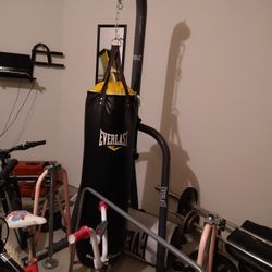 Weight Set And Punching Bag, Stands, and Bars 