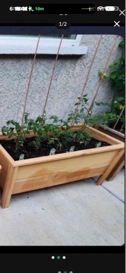 New cedar planters