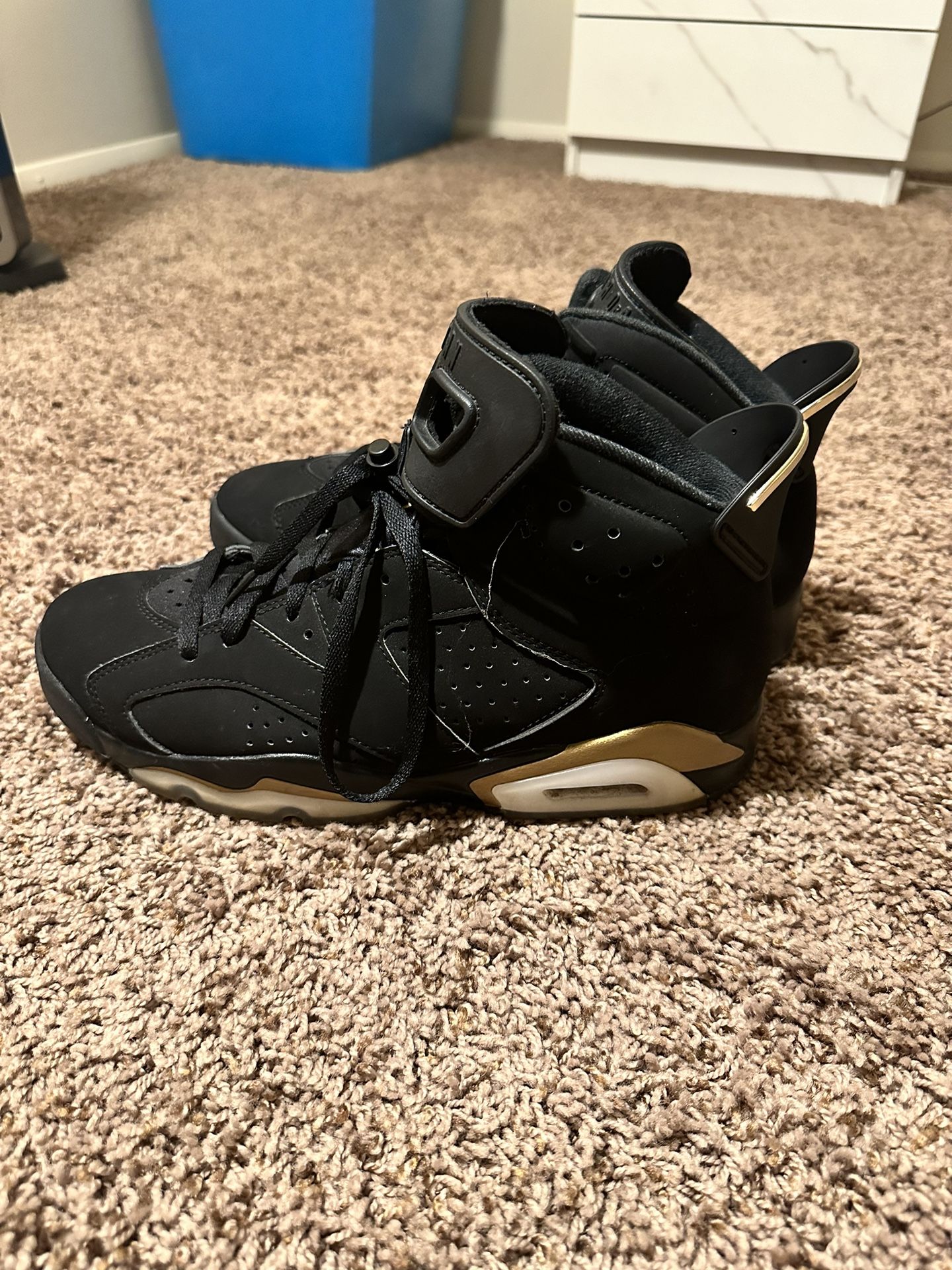 Jordan 6 Retro DMP Size 9.5