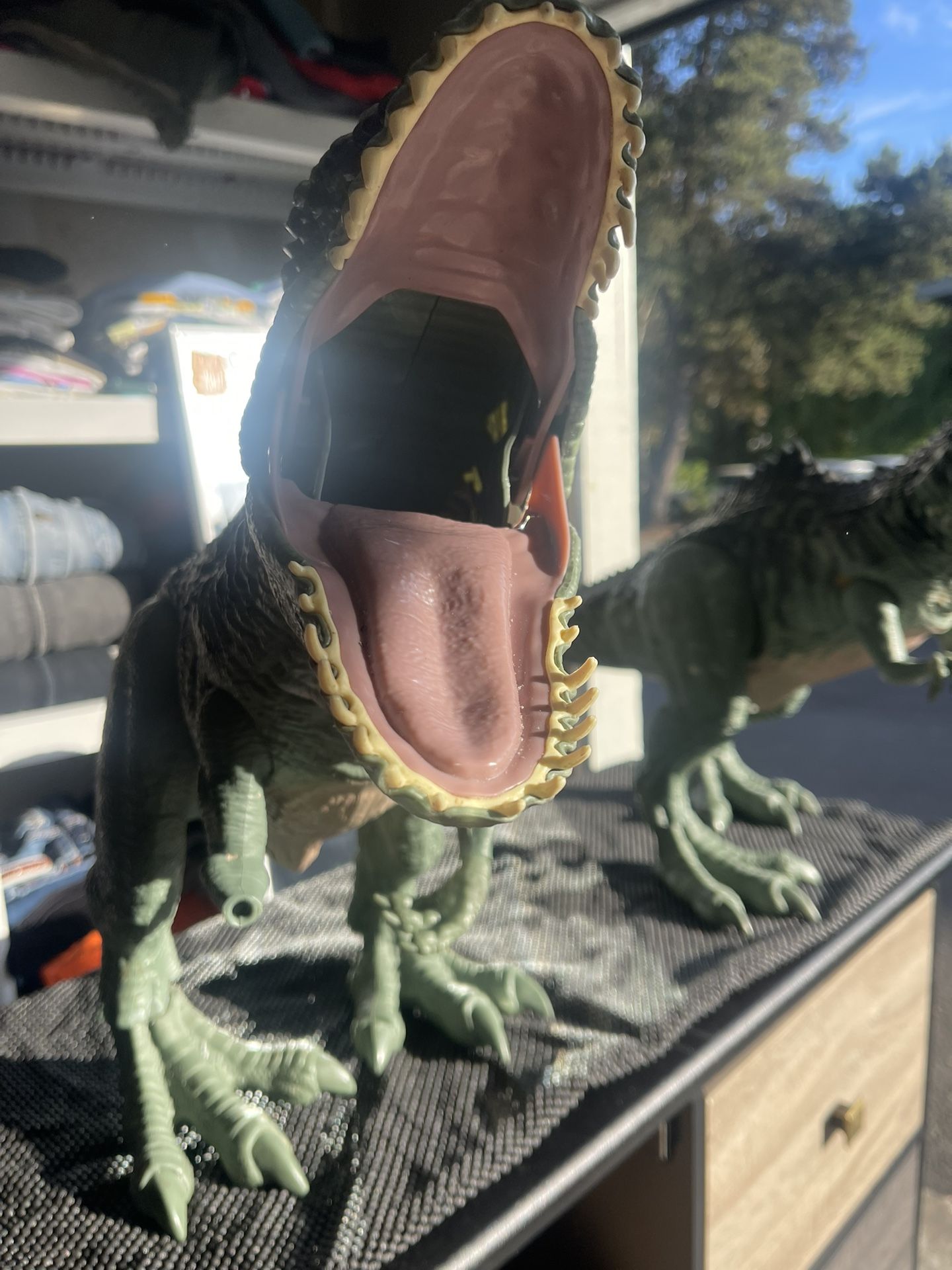 Dinosaur
