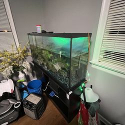 Fish Tank And Stand Come With Fish!!!