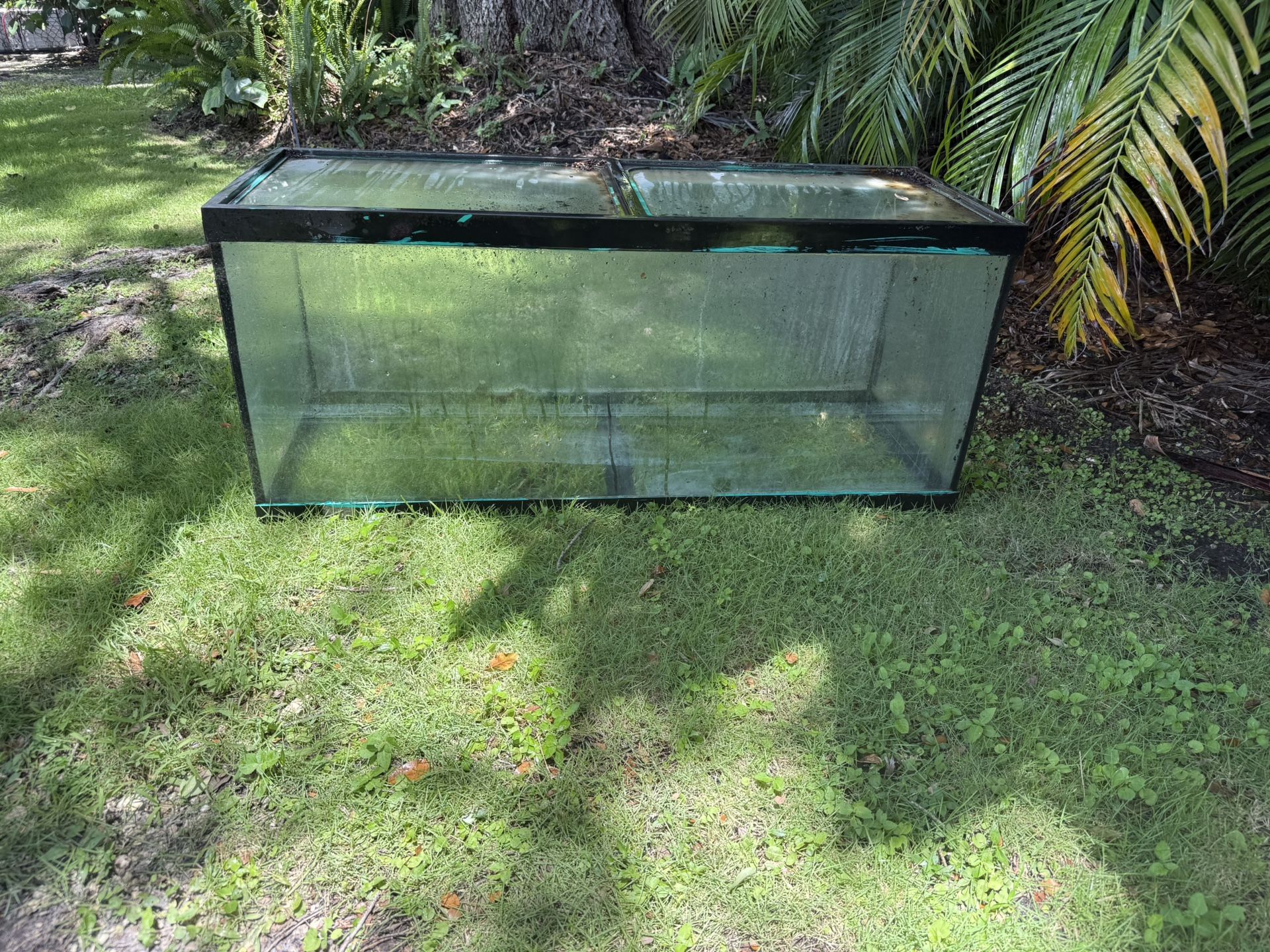 75 gallon fish tank 