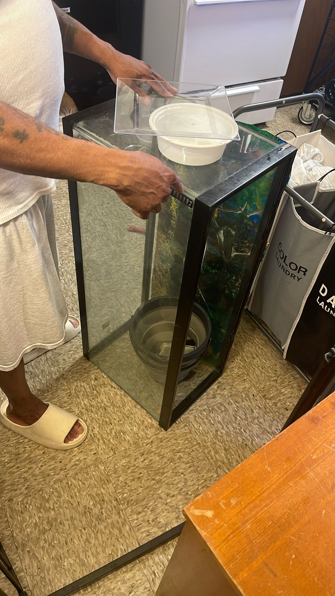 29 Gallon Fish Tank